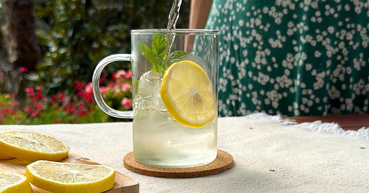 Infusions fredes i ecològiques: beneficis a l’estiu i al teu dia a dia + guia gratuïta