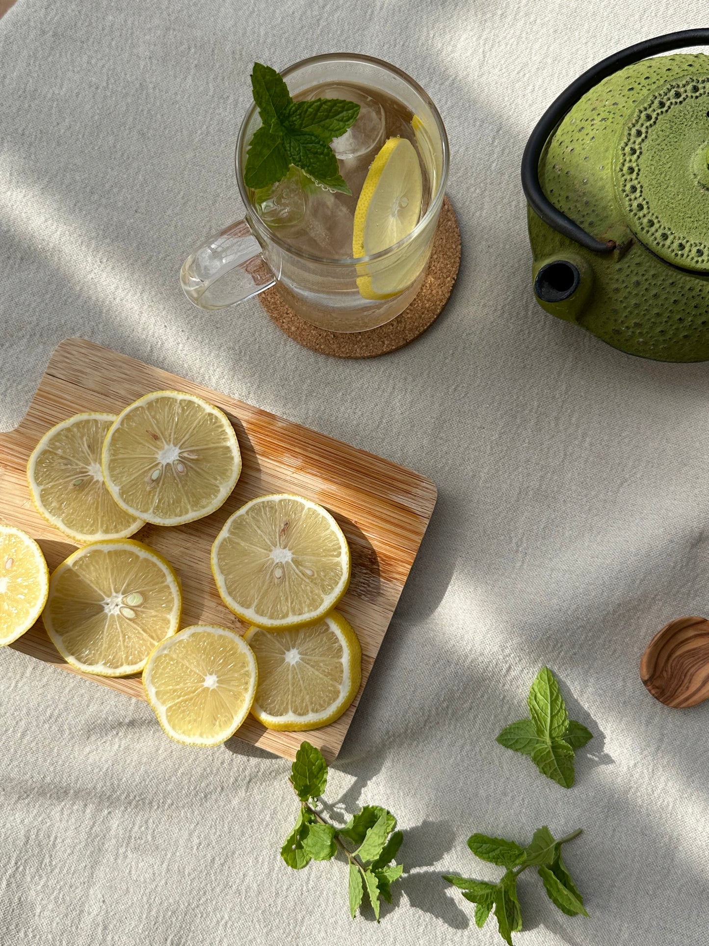 Guia gratuïta per elaborar infusions fredes i refrescos naturals