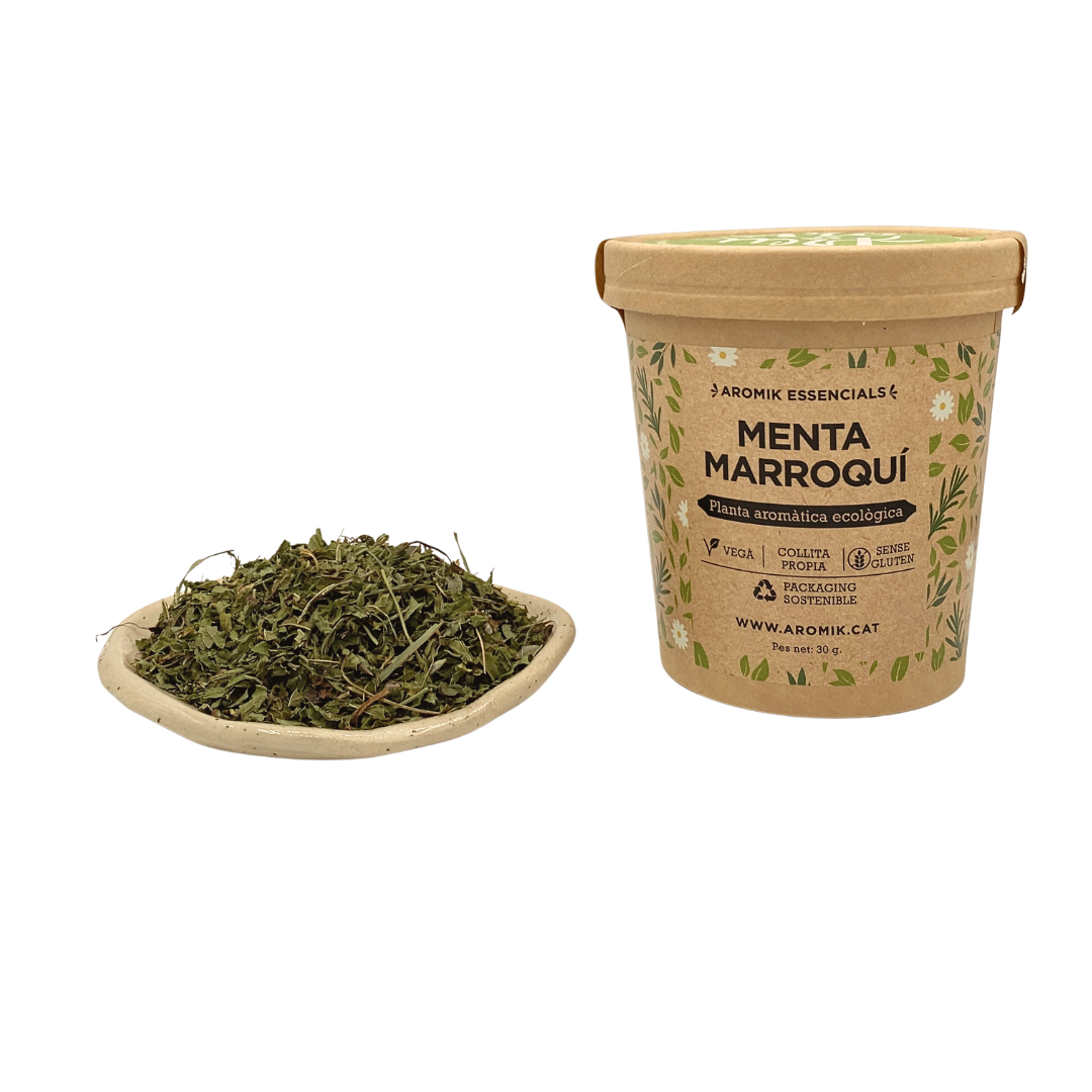 Menta marroquí