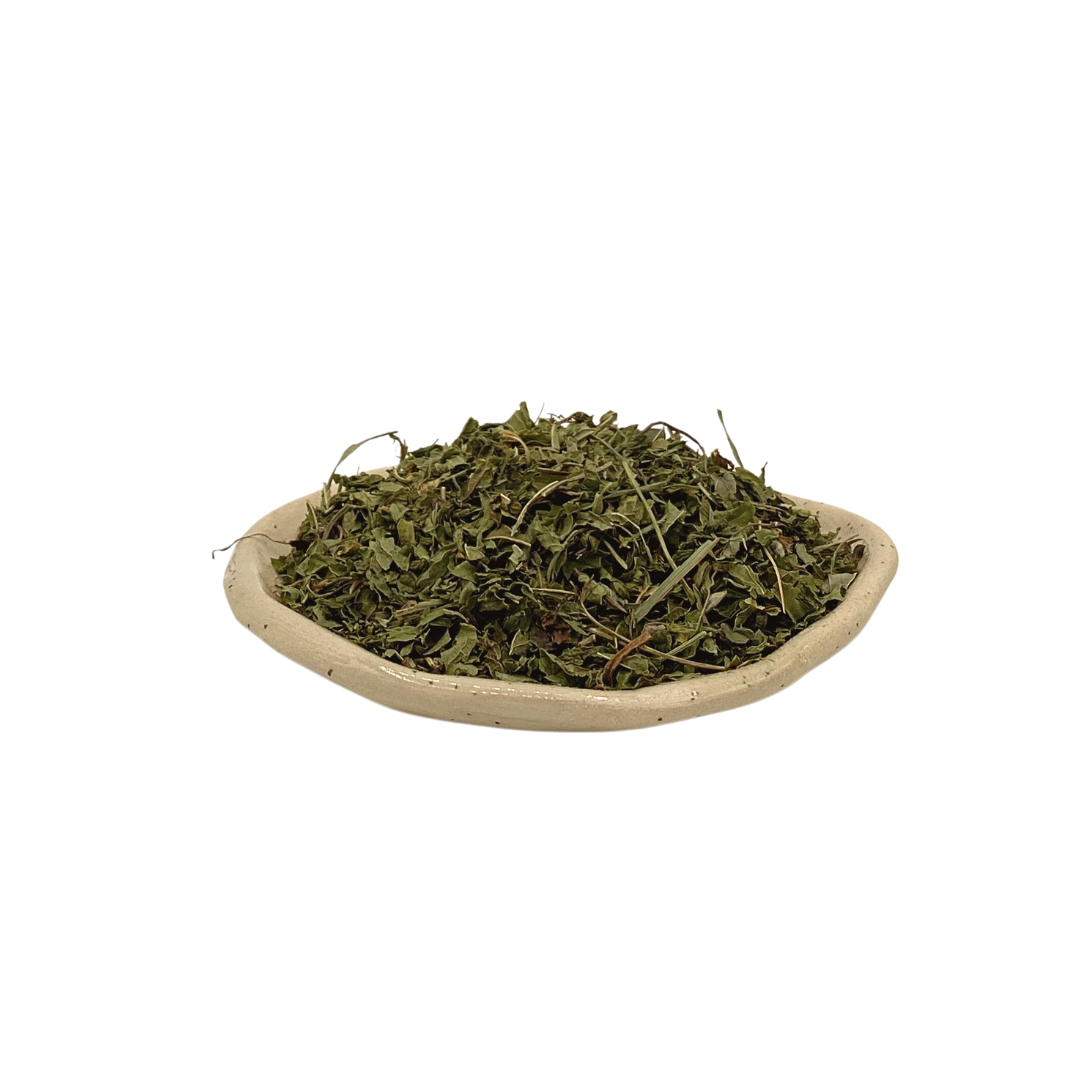 Menta marroquí